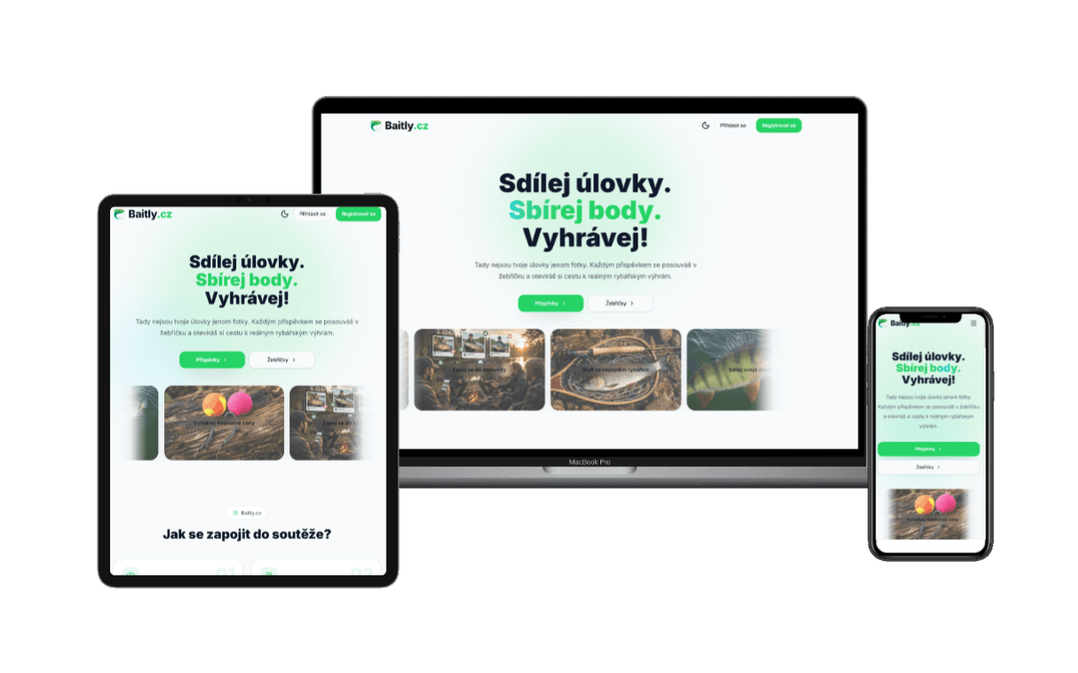Ukázka projektu Baitly.cz